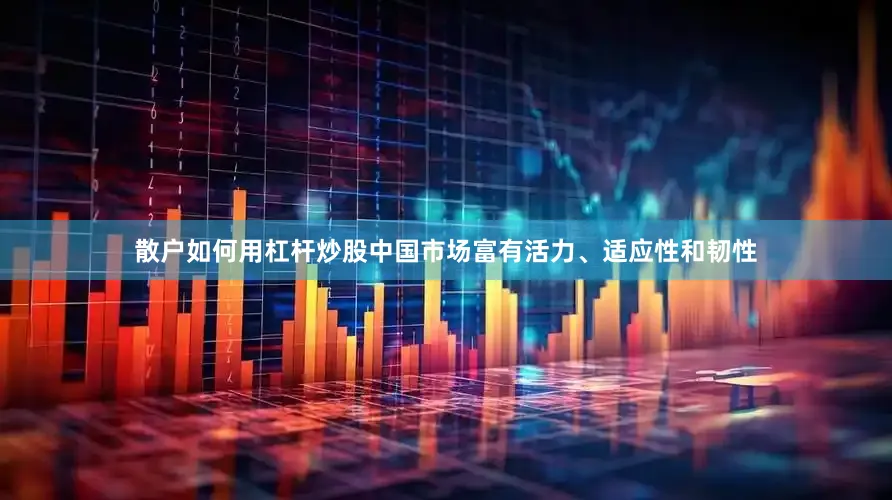 散户如何用杠杆炒股中国市场富有活力、适应性和韧性