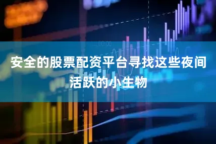 安全的股票配资平台寻找这些夜间活跃的小生物