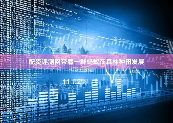 配资评测网带着一群蚂蚁在森林种田发展