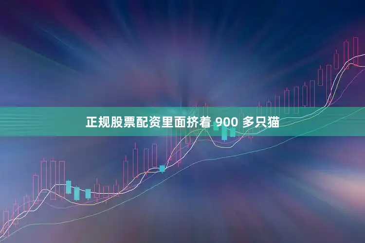 正规股票配资里面挤着 900 多只猫