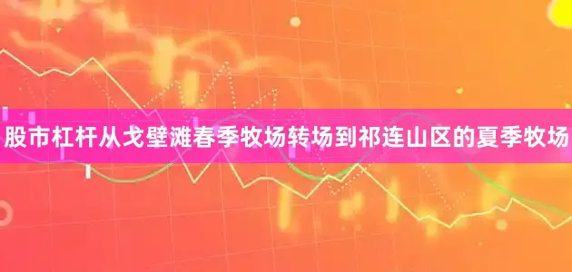 股市杠杆从戈壁滩春季牧场转场到祁连山区的夏季牧场